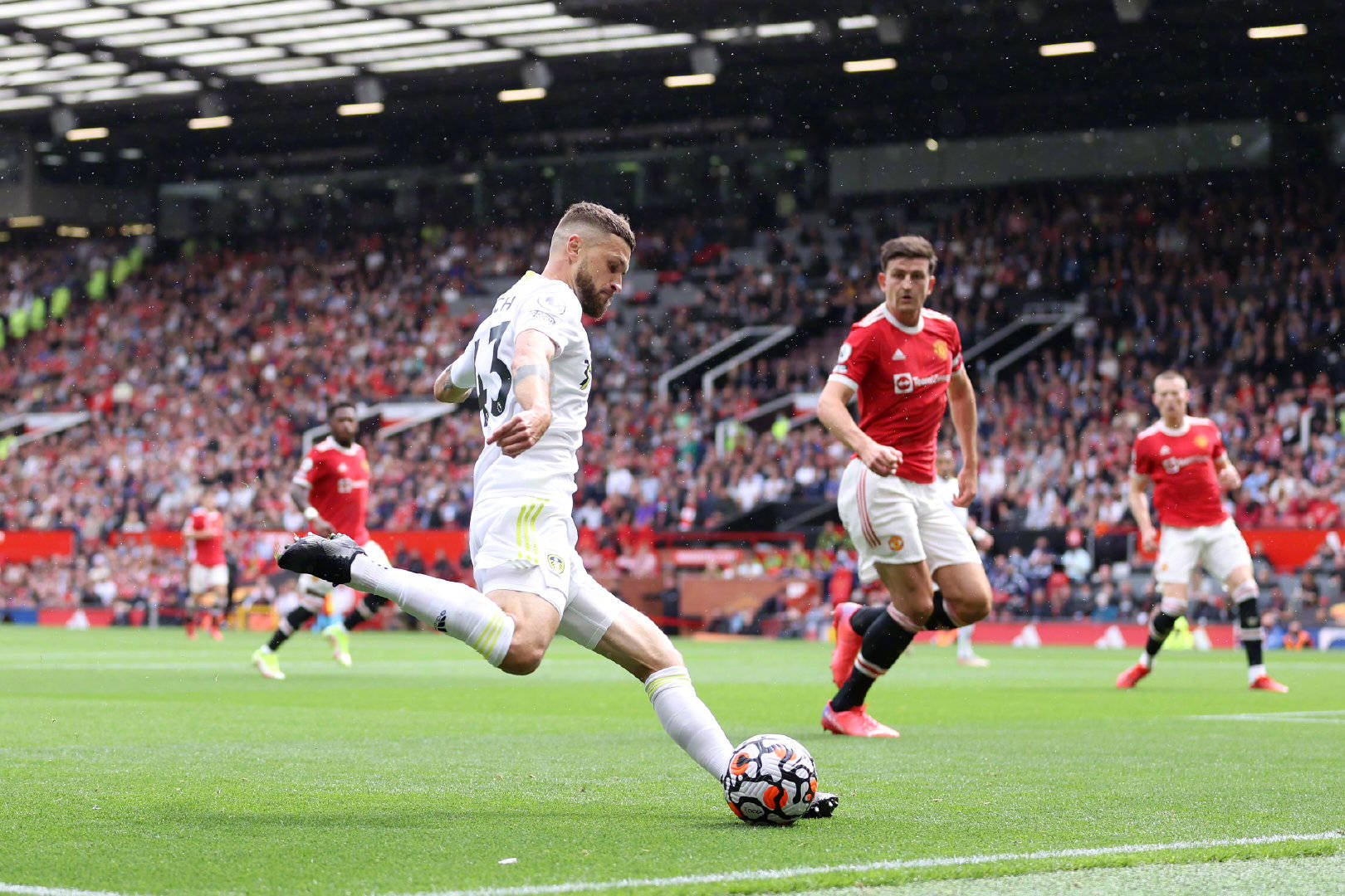 见的决定 见的决定