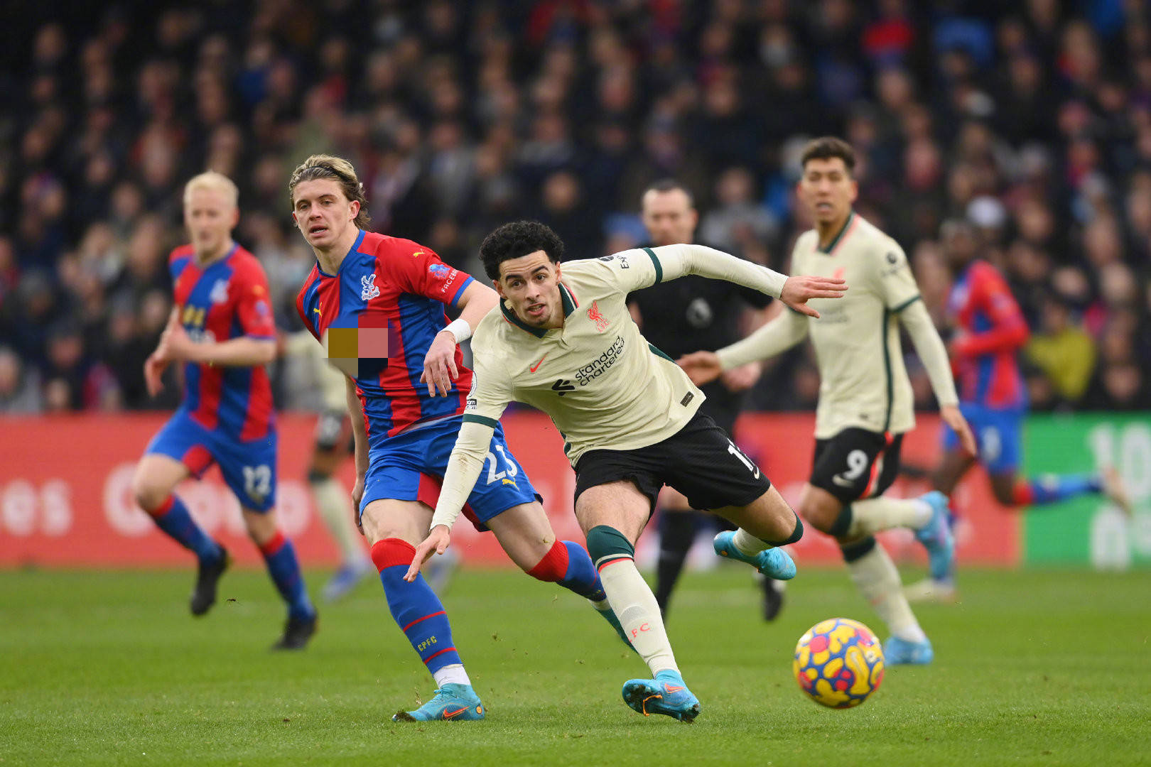 职业转会的 职业转会的